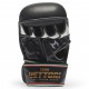 Fotos von product_name] in MMA Handschuhe GP118